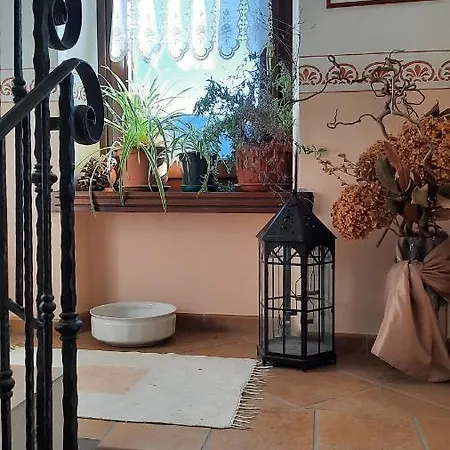 Casa Vacanze Da Olga Danta Exterior photo